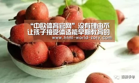 中欧体育官网