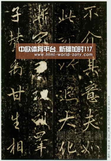 中欧体育官网