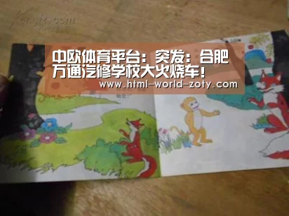 中欧体育官网