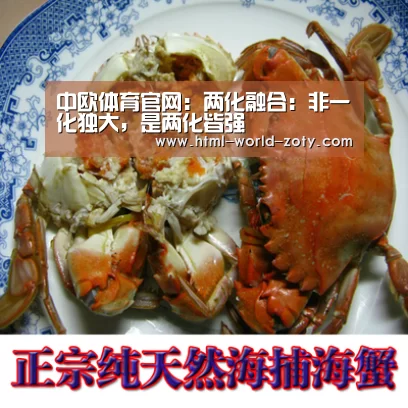 中欧体育官网:两化融合:非一化独大,是两化皆强(图4) 中欧体育官网