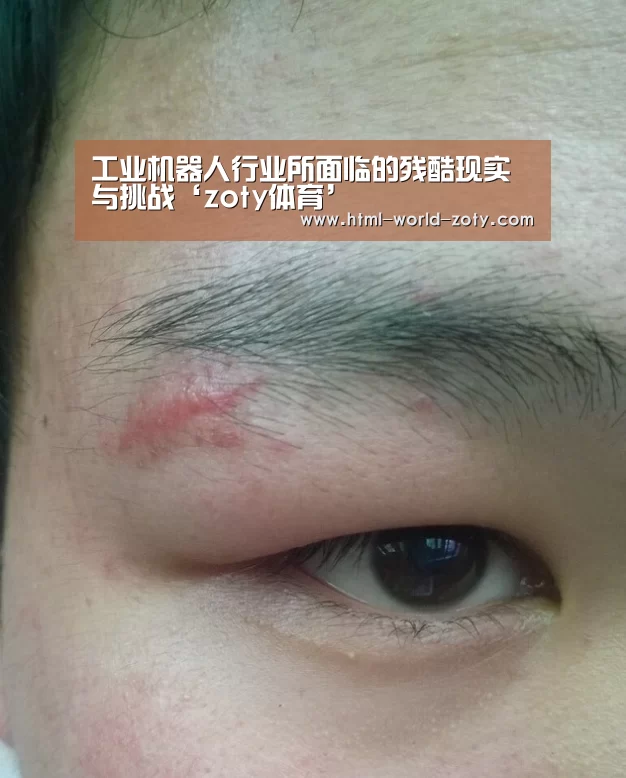 工业机器人行业所面临的残酷现实与挑战‘zoty体育’