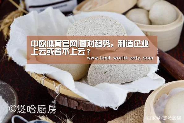 中欧体育官网|面对趋势,制造企业上云或者不上云?(图4) 中欧体育平台