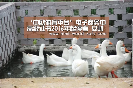 中欧体育