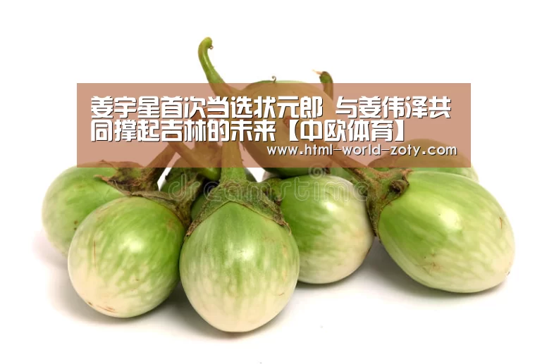 zoty体育