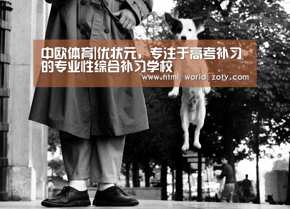 中欧体育平台