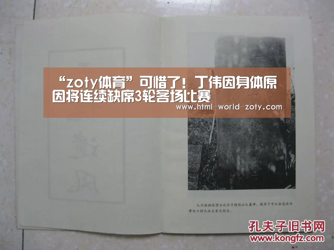 中欧体育